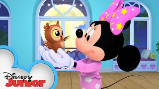 Goodnight Owl  Minnies BowToons 🎀  disneyjr [upl. by Irneh]