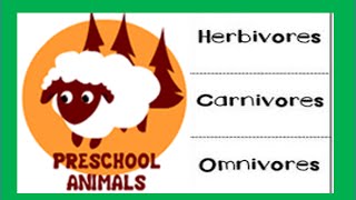 Herbivore Carnivore Omnivore Animals [upl. by Heyward866]