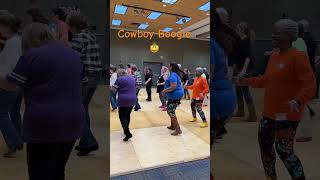 Dive into Soul Line Dancing with the Cowboy Boogie Line Dance linedancers [upl. by Fitalludba]