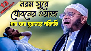 নরম সুরে যৌবনের কান্নার ওয়াজ।মুফতি নাসির উদ্দিন আনসারী নতুন ওয়াজ২০২৩।Nasir Uddin Ansari waz 2023 [upl. by Meridith]