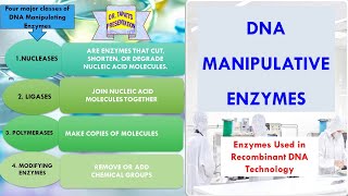 Manipulative Uses of Enzymes  In Detail  Enzymes used in Molecular Biology  Enzyme 39 [upl. by Flanna]