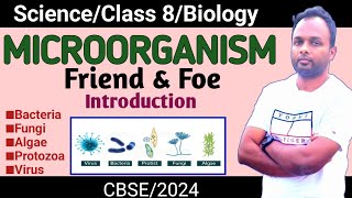 Microorganism Friend amp FoeClass 8ScienceBiologyCbseStudy In Depth [upl. by Sokim]