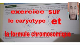 exercice sur le caryotype et la formule chromosomique [upl. by Novek979]