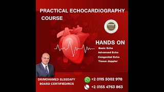 الجمعيهالمصريهللموجاتالصوتيهعلىالقلب cardiology دكتور محمد الصدفى medical courses [upl. by Saravat]