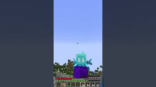 Nether Portal Logic 4774 Moment minecraft meme shorts [upl. by Aitnahs]