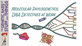 The past present and future of molecular phylogenetics [upl. by Nylikcaj245]