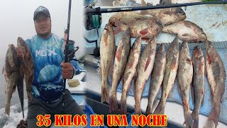 VELAMOS LA CABRILLA  35 KILOS EN UNA SOLA NOCHE  Tablita Fishing [upl. by Alyose]