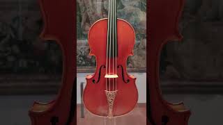 Violin by Antonio Stradivari Messiah Cremona 1716 at the Ashmolean Museum in Oxford shorts [upl. by Adni32]