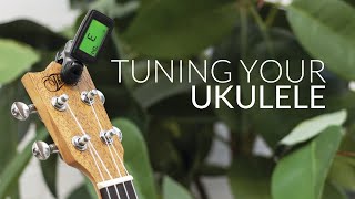 How to Tune your Ukulele Beginners Guide [upl. by Faludi]