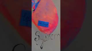 respiratory system project [upl. by Carmella971]