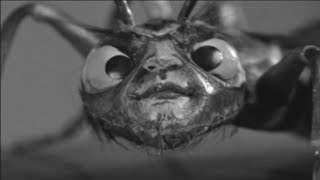 The Zantis From The Outer Limits Episode quotThe Zanti Misfitsquot [upl. by Eilak]