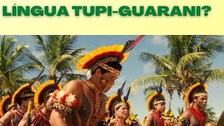 Línguas indígenas no Brasil Troncos TupiGuarani e MacroJê [upl. by Yllitnahc]