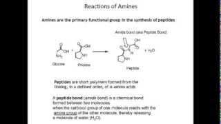 Final Reactions Alcohols and Amines [upl. by Dudden]