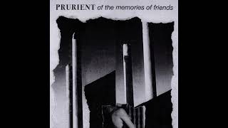 Prurient  Of the Memories of Friends  2012  FLAC [upl. by Asined875]