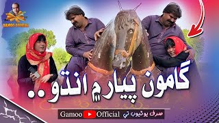 Gamoo Pyar Mai Andho  Asif Pahore Gamoo  Kheero Buriro  Gamoo New  Comedy Funny Video  2024 [upl. by Canty]