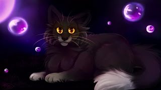 Cat Wallpaper  Digital Art  Speedpaint [upl. by Gun]