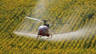 Aérospatiale SA318C Alouette II spraying flight near Dudar [upl. by Edmee]