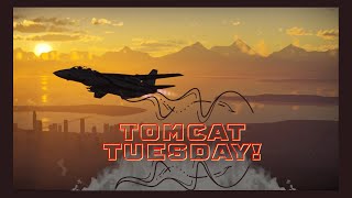 Its Tomcat Tuesday Area 88 Style [upl. by Crofoot667]