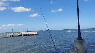 Fishing at Titusville Veterans Memorial Fishing Pier [upl. by Otsirc521]