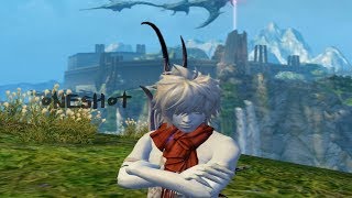 Oneshot  PvP Ranger Infinite Aion [upl. by Rendrag]