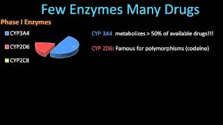 Phase II Metabolism  Pharmacology Lect 8 [upl. by Oluas]