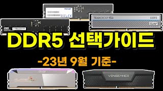 DDR5 메모리 이렇게 고르세요 23년 9월 말 기준 [upl. by Crista799]