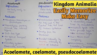 Acoelomate  Coelomate  Pdeudocoelomate  Kingdom Animalia  Class 11 [upl. by Anielram]