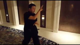 Master Zhao Chuan Hui Song Style Xingyi Quan [upl. by Rubma]