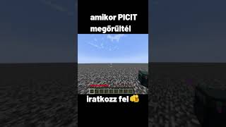 Amikor picit megőrültél minecraft minecraftmemes minecraftmoments vicces qer [upl. by Ytsirk364]