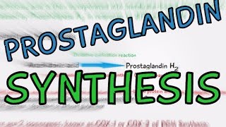 Introduction to Eicosanoids  Prostaglandins Thromboxane and Leukotrienes Autacoids Part 6 [upl. by Lindsy]