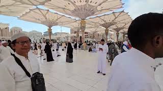 Masjid e Nabwi  After Prayer [upl. by Lletnohs814]