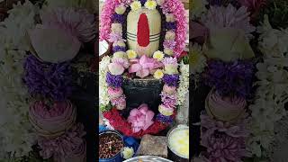 🙏🏻ஹர ஹர மகாதேவா shivashiva sivanstatus omnamahshivaya devotional youtubefeed shortsfeed like [upl. by Romo797]