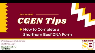 Shorthorn Beef Australia CGEN Tips How to Complete a Shorthorn Beef DNA Form [upl. by Bobseine322]