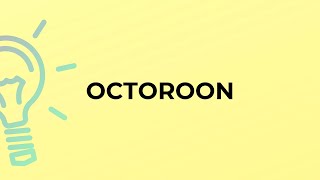 What is the meaning of the word OCTOROON [upl. by Geri]