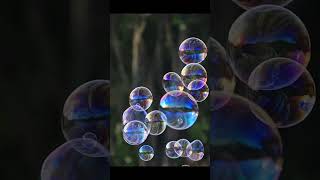 🫧 bubbles 🫧 nature shortsfeed natureguru12 [upl. by Nnylyak]