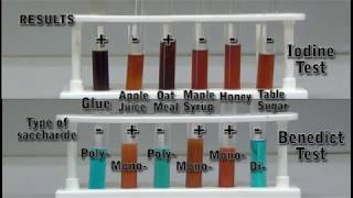 Identifying Carbohydrates [upl. by Ainyt]