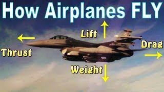 SPEED COMPARISON 3D  Aircraft 🛩️ [upl. by Venterea]