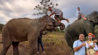 My first Elephant Ride at the Resort  Bahubali Style Hatini ke upad chada  Monu ke sath Vlogging [upl. by Pathe]