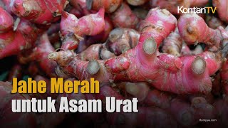 Cara Membuat Ramuan Jahe Merah untuk Mengobati Gangguan Asam Urat  KONTAN Info Sehat [upl. by Zenas910]