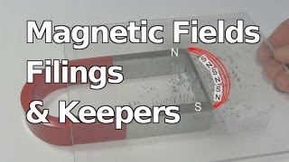 Magnetic Fields Keepers amp Iron Filings with Horseshoe Ceramic and Neodymium Magnets [upl. by Mushro94]