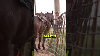 Little girl tries to climb up on horse😲 [upl. by Admama]