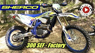 2020 Sherco 300 SEF Factory  First Impression Review  Max Motorsports Demo  Sherco 300 4 Stroke [upl. by Etterraj227]