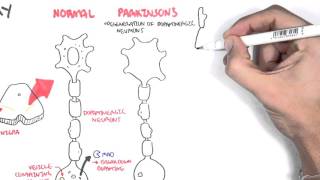 Pharmacology  Parkinsons Disease [upl. by Cud]