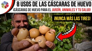 🥚 NUNCA MÁS TIRES las CÁSCARAS de HUEVO 🌱 LOS 8 MEJORES USOS de la CÁSCARA de HUEVO [upl. by Cirnek]