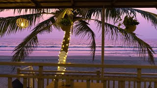 Tranquility at Benaulim beach Goa in 4K [upl. by Mail]