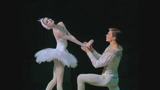 Video clip from my OdetteOdile The Swan Lake 1993 [upl. by Tomlin]