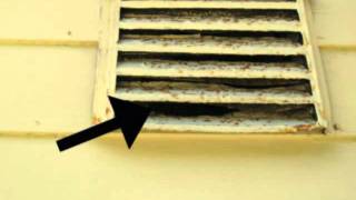 Damaged Wood Siding Vent  Simple Home Improvement Repairs [upl. by Leemaj]