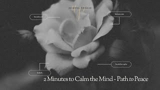 2 Minute Calm the Mind Meditation [upl. by Hoye]