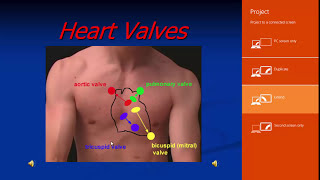 Echo Assessment of Valvular Heart Diseases Dr Sameh Samir [upl. by Lerual248]