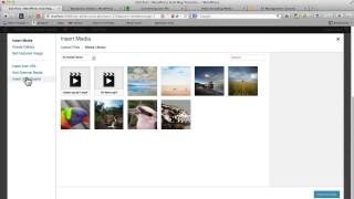 How to Add Video To WordPress Using JW Player Part 2 [upl. by Aloeda104]